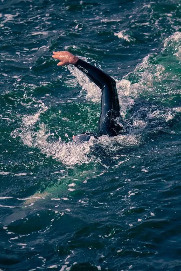 Natation